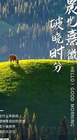 竞秒足球比分-竞秒足球比分，一场速度与激情的较量，揭秘背后的数据狂潮