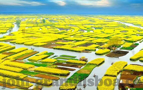诛仙九游版下载-诛仙剑阵，笑傲江湖